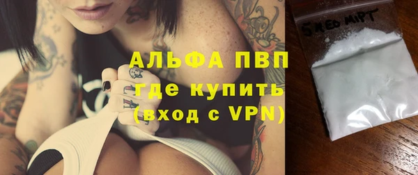 стаф Абаза